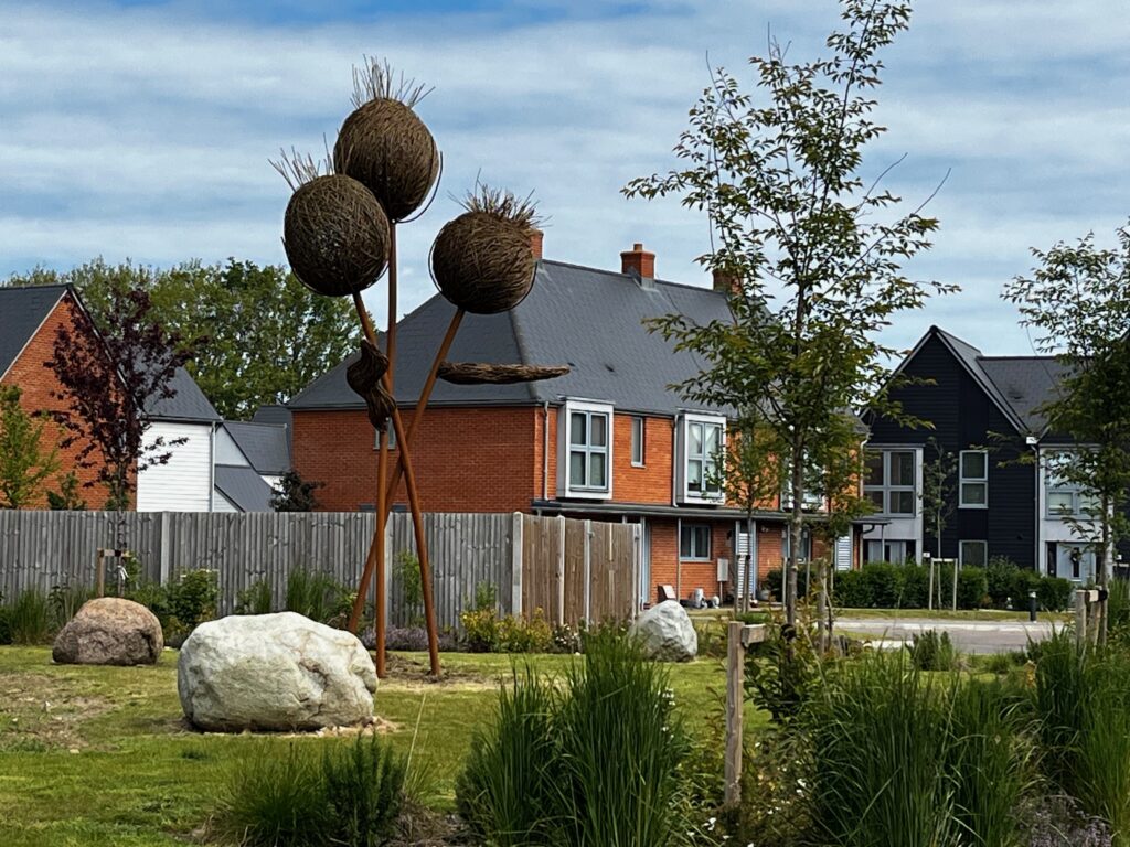 EXPLORE Teasles at Conningbrook